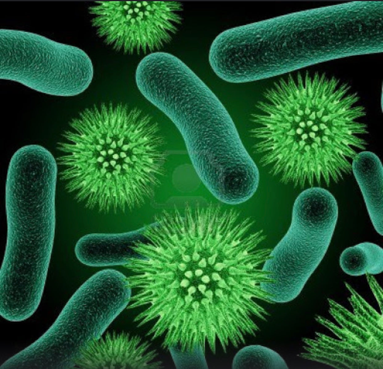 Let’s Talk Preservatives!